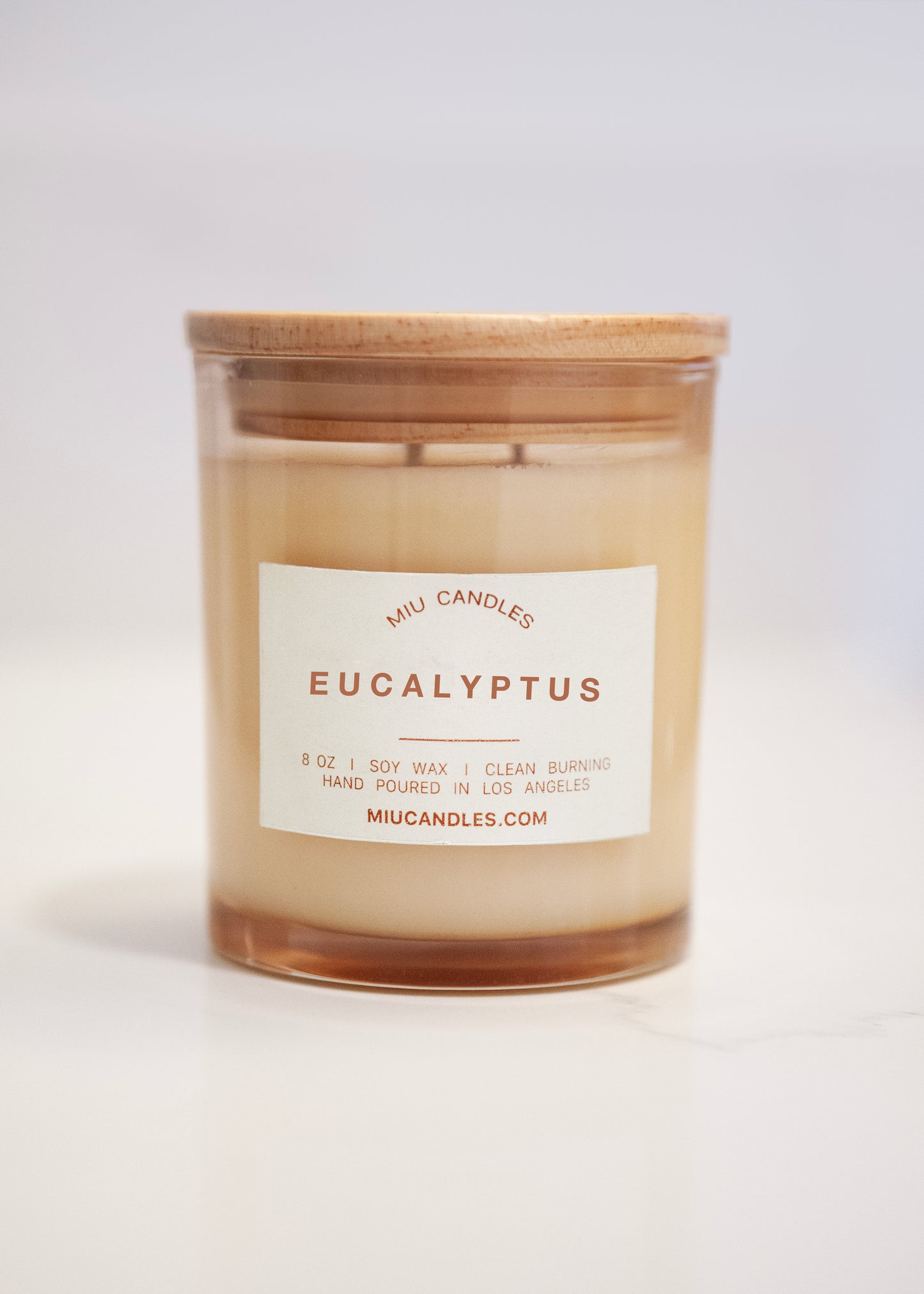 EUCALYPTUS - 8 oz Soy Candle