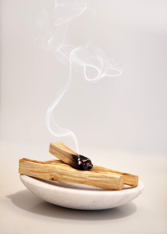 PALO SANTO