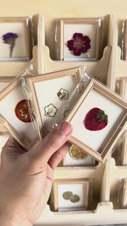 DRIED FLOWER MAGNET FRAME