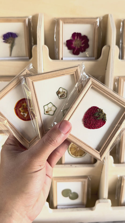 DRIED FRUIT MAGNET FRAME